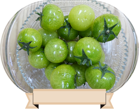 ☆農園の野菜たち☆｜北斗市でミニトマト【プチぷよ】ならスケサンファーム