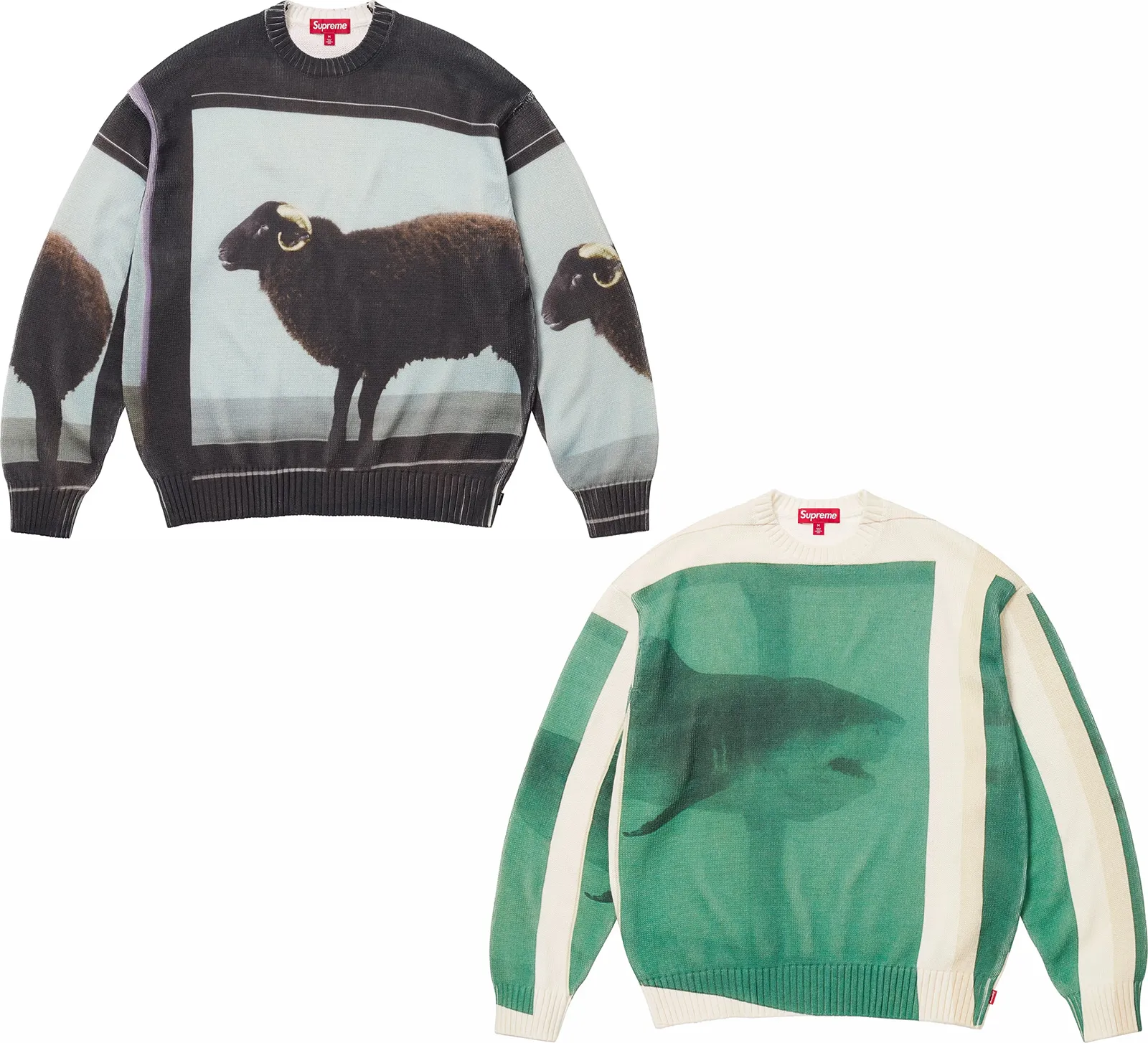 Supreme/Damien Hirst Sweater | Supreme 25ss