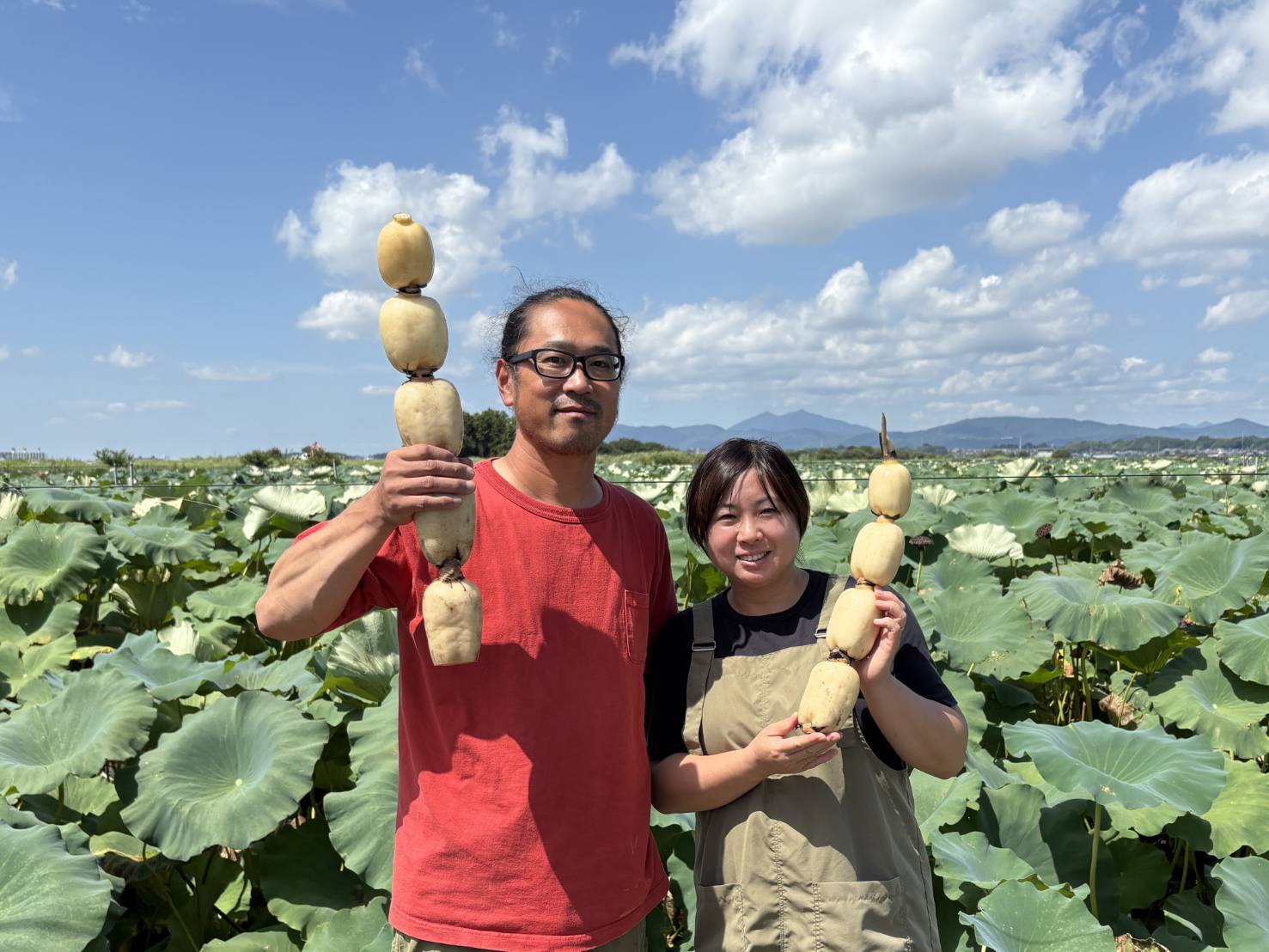 はすね倶楽部（定期便サービス） | すずき蓮根農園