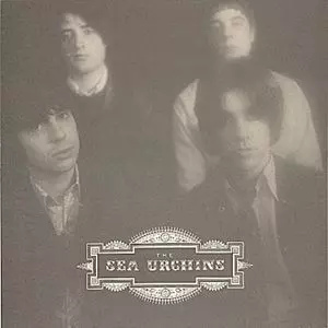 SEA URCHINS / シー・アーチンズ商品一覧｜ディスクユニオン