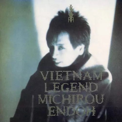 ベトナム伝説/MICHIRO ENDO/遠藤ミチロウ｜日本のロック｜ディスク