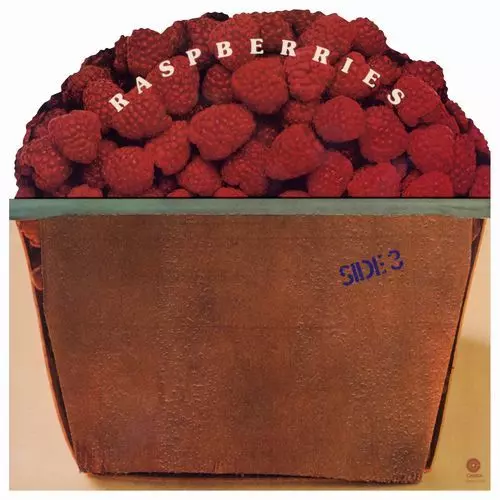 RASPBERRIES / ラズベリーズ商品一覧｜OLD ROCK｜ディスクユニオン