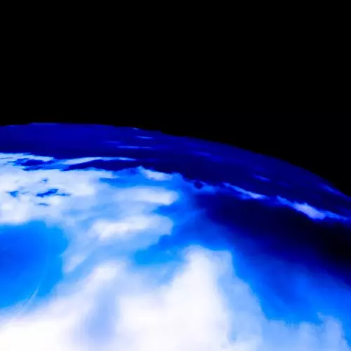 君のために生きていくね/踊ってばかりの国｜日本のロック｜ディスク