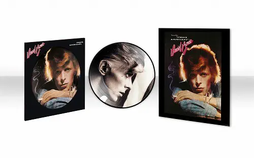 ラヴィング・ジ・エイリアン [1983-1988]/DAVID BOWIE/デヴィッド