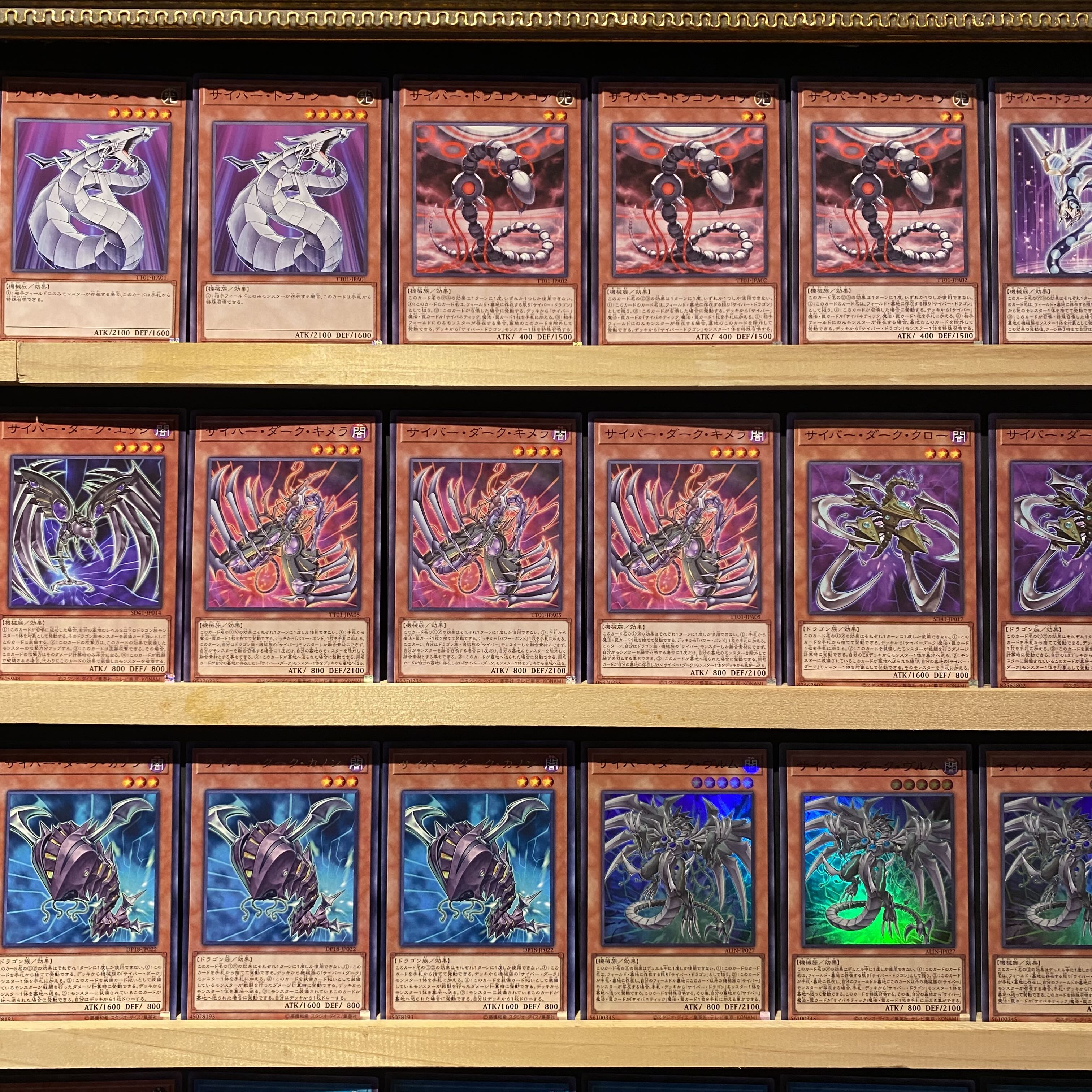 即日発送！【サイバーダーク】デッキ 遊戯王 サイバー・ダーク・ヴルム