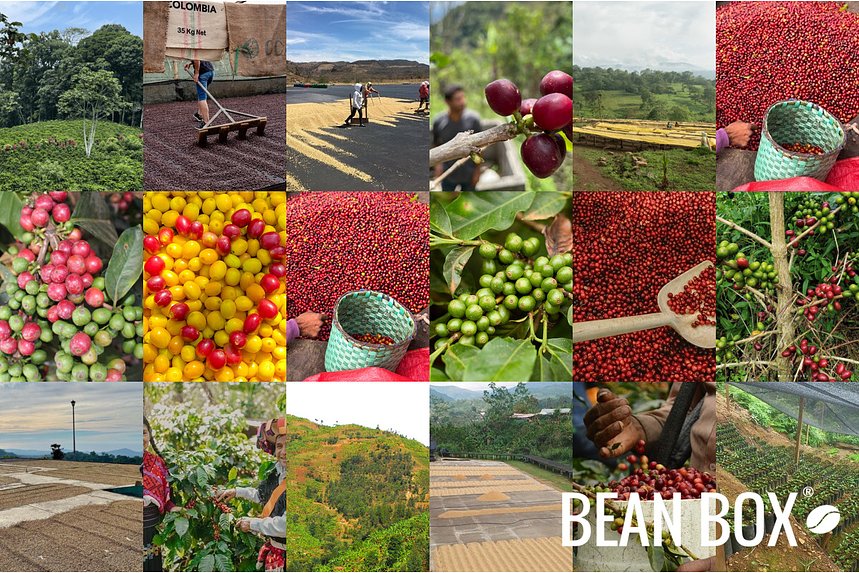 Portrait Coffee | Darker the Cherry | Bean Box®