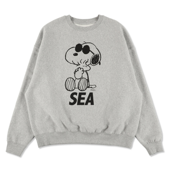WIND AND SEA / ウィンダンシー | SMOOTHY x WDS Snoopy Pigment
