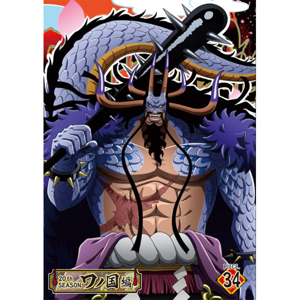 ONE PIECE ワンピース 20THシーズン ワノ国編 piece.34（DVD）: DVD