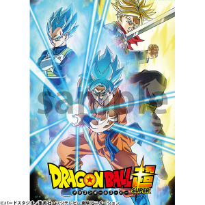 ドラゴンボール超】TVシリーズ コンプリートDVD BOX 下巻: DVD｜東映