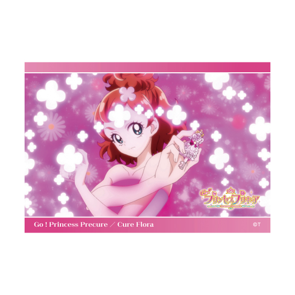 Go！プリンセスプリキュア】場面写変身ブロマイドセット（4枚入