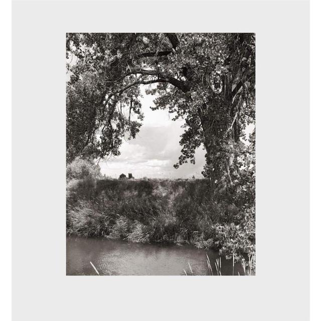 Robert Adams 写真集 Cottonwoods ロバート・アダムズ 写真集 Robert
