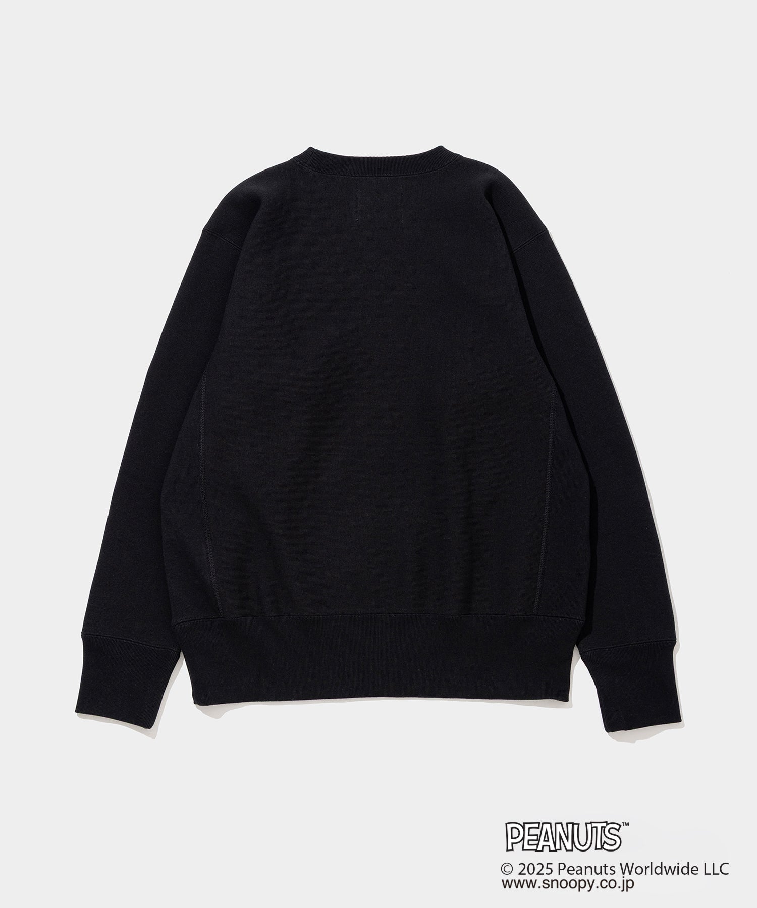 Champion C/N Sweat - 011A PEANUTS FRAGMENTS – V.A. TOKYO ONLINE STORE