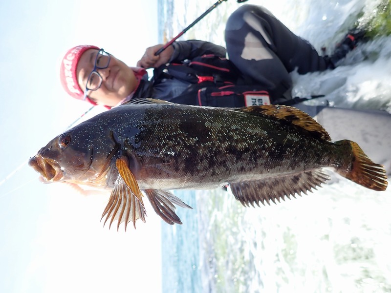 ｱﾌﾞｶﾞﾙｼｱ ｴﾗﾃﾞｨｹｰﾀｰ ﾛｯｸｽｲｰﾊﾟｰ ERSC-77ML-BF - DELUSION - (ﾃﾞﾙｰｼﾞｮﾝ