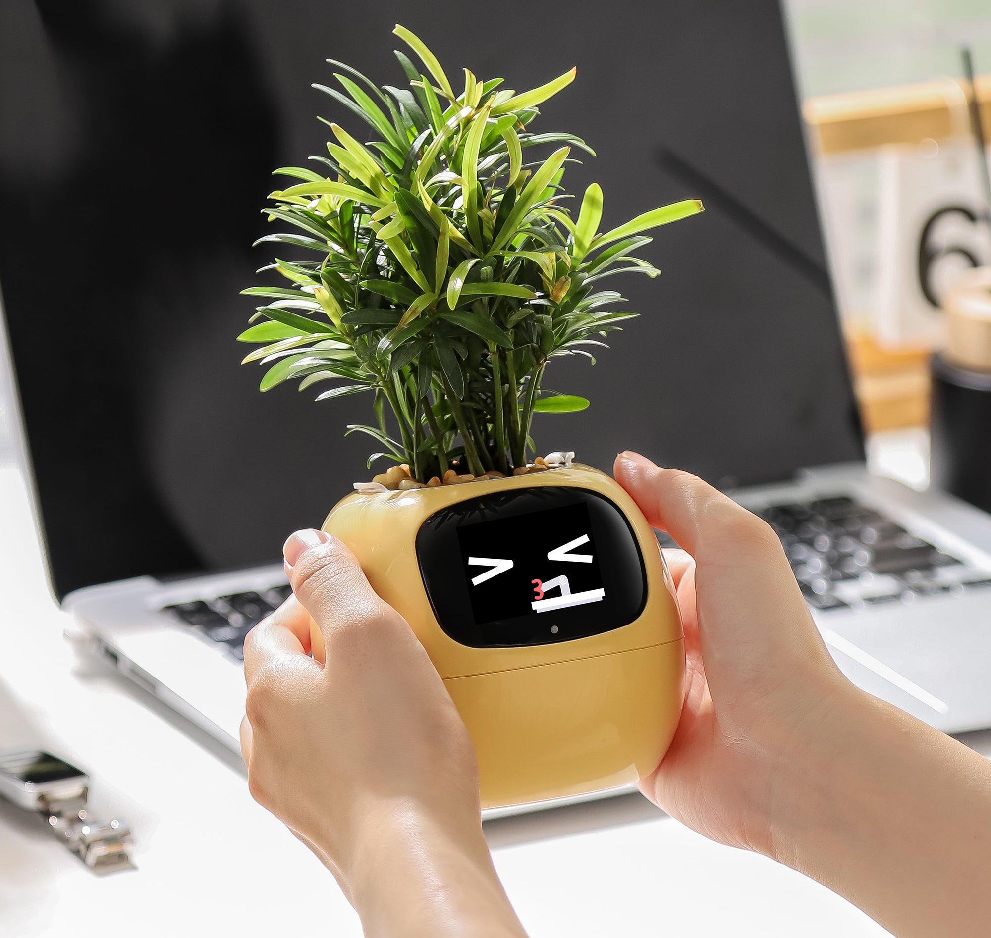 Ivy Smart Planter – Smart & Interactive Planter for Indoor Plants