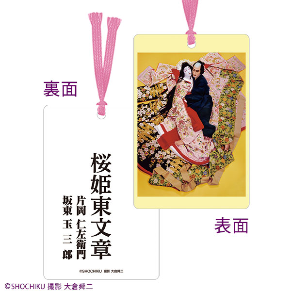 桜姫東文章 DVD 2枚組 片岡仁左衛門、坂東玉三郎 シネマ歌舞伎 片岡仁