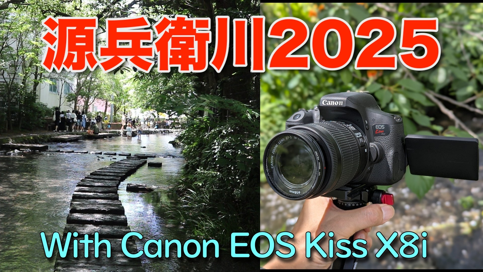 195:源兵衛川をCanon EOS Kiss X8i とともに歩く | junjiteeのブログ