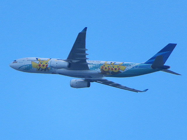 東京湾上空の飛行機 73 ガルーダ・インドネシア航空 (特別塗装機