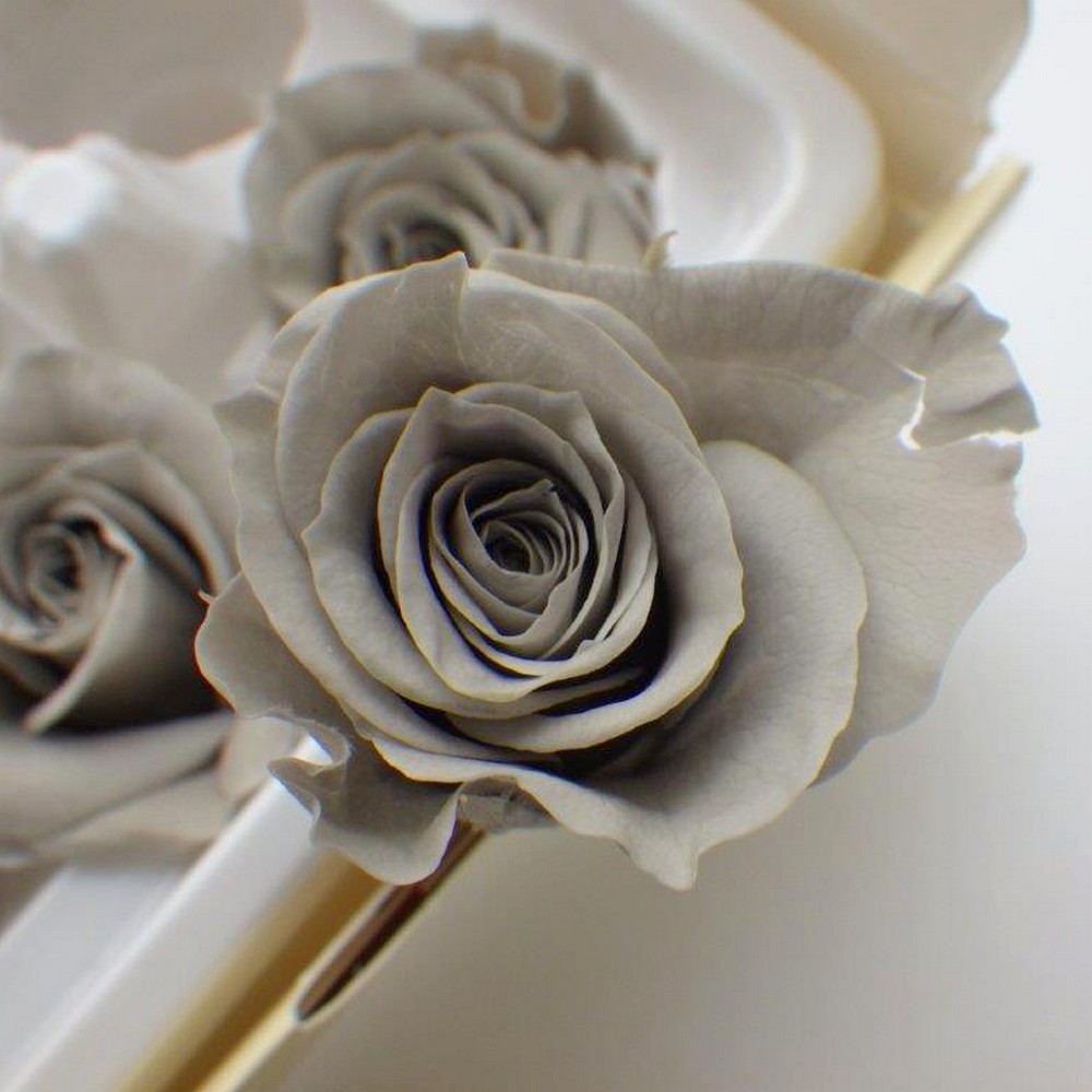 即日☆ B級特価◎【プリザーブド】GARDEN PALETTE MONO/リサローズ 9輪