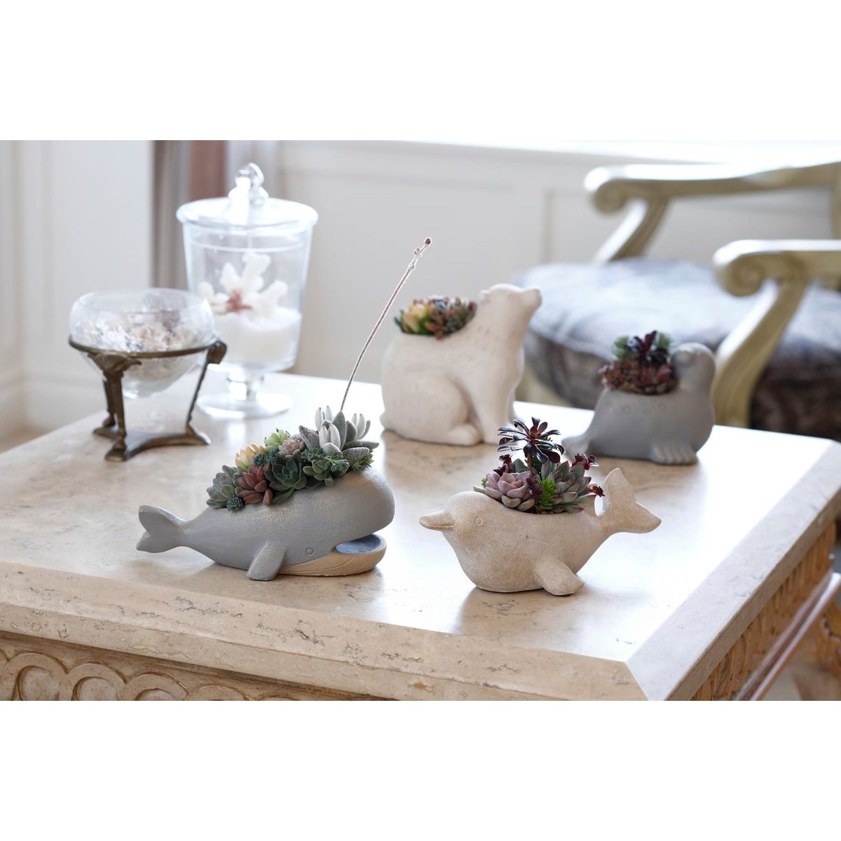 DELLKI/プラヤポット アザラシ L-GY/KL60GY - 花材通販はなどんやアソシエ