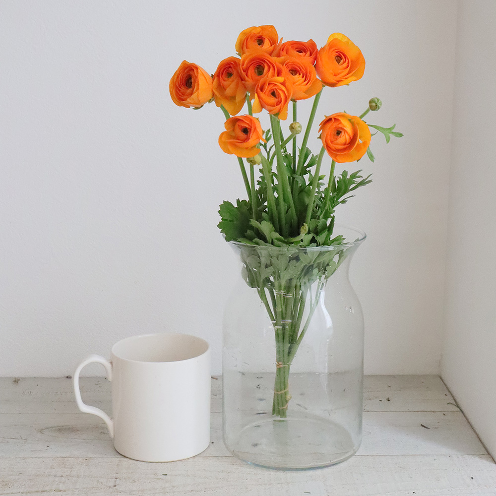 生花】ラナンキュラス(オレンジ)ディーニュ、エチュードORなど 40cm