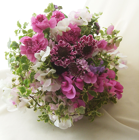 生花】NODAフラワーのスカビオサ:キング(濃紫ふちどり白)【早締切-17