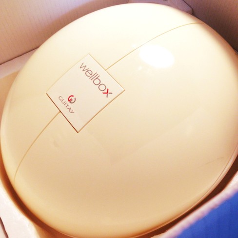 使ってみた編】家庭用エンダモロジーwellbox | 集英社の美容総合