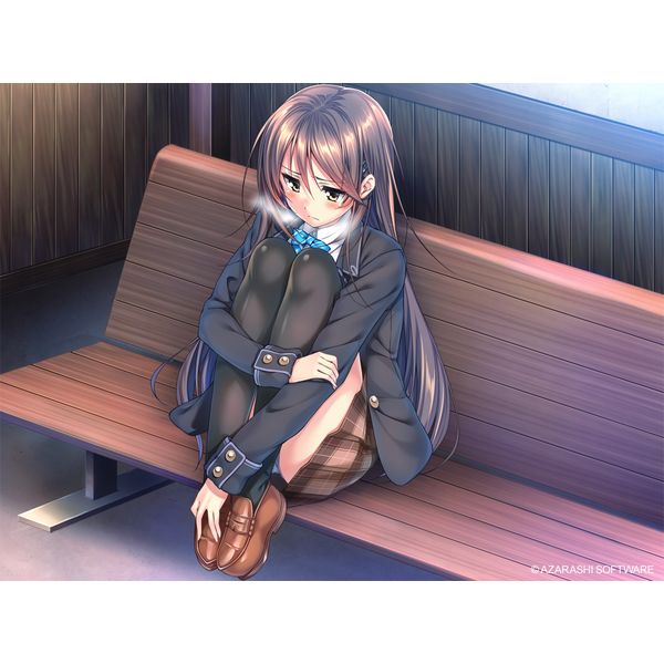 ゲーム: アマカノ＆アマカノ ～Second Season～ ダブルパック 【Switch