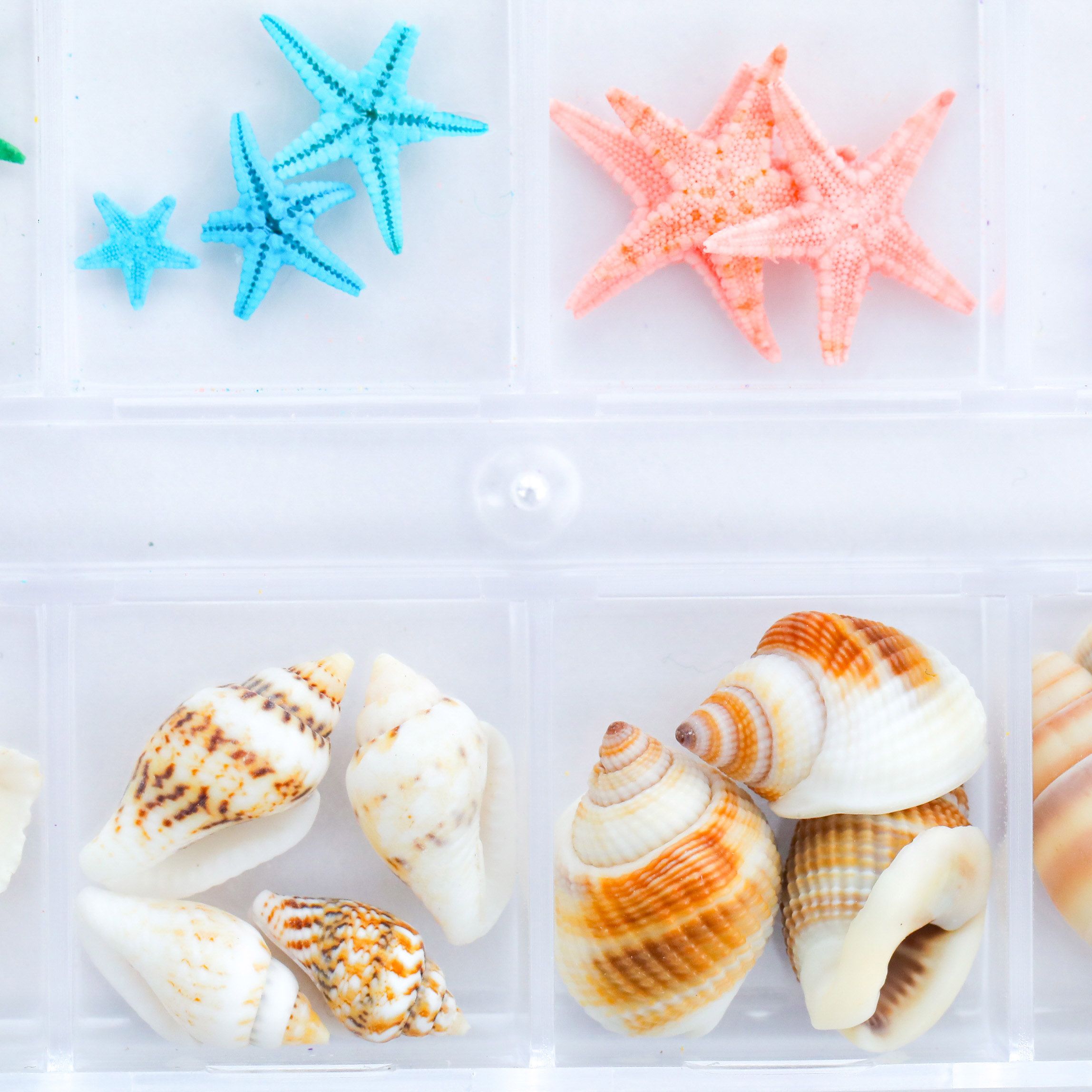 封入素材 海 ミックス ヒトデ カラフル シェル 巻貝 ケース入り レジン