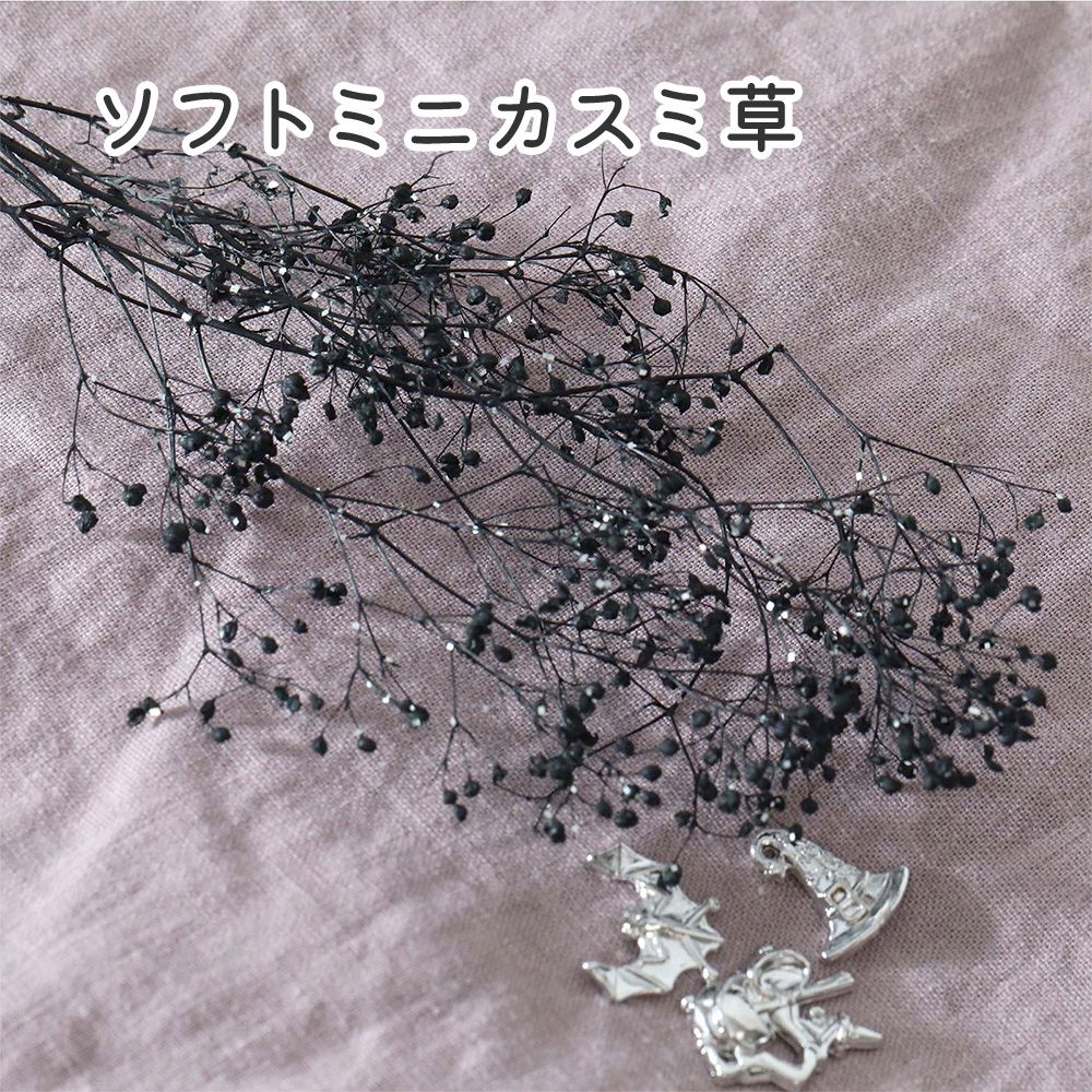 小分け】ソフトミニカスミ草 ラメ入り かすみ草 黒 ブラック 大地農園
