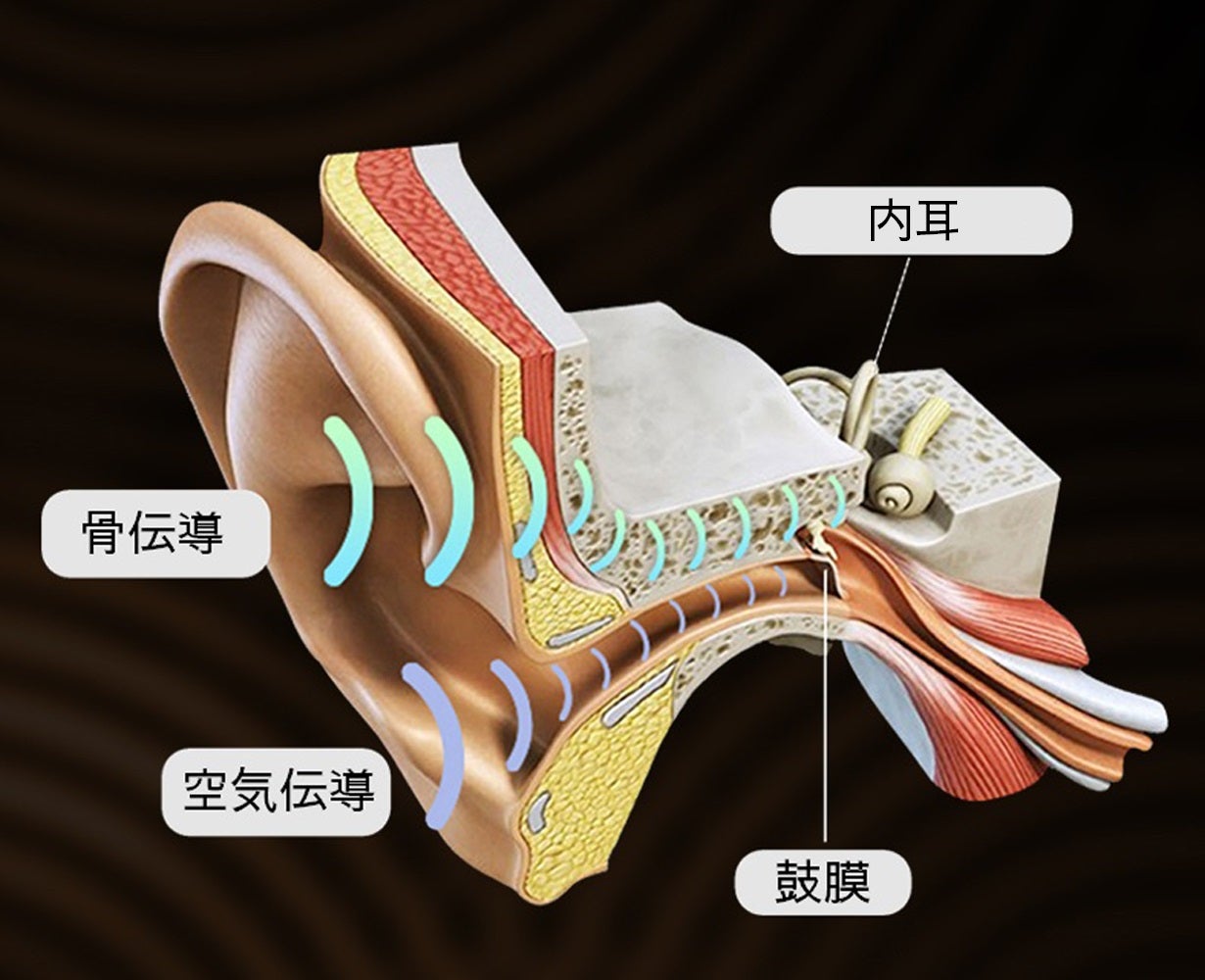 高コスパで高音質を実現した ワイヤレス骨伝導イヤホン OPEN EAR PECK