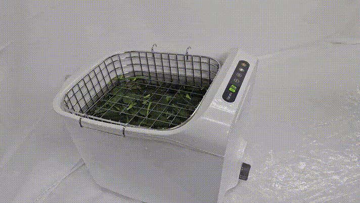 家事の頼れる相棒】見えない汚れもスッキリ落とすマルチ超音波洗浄機