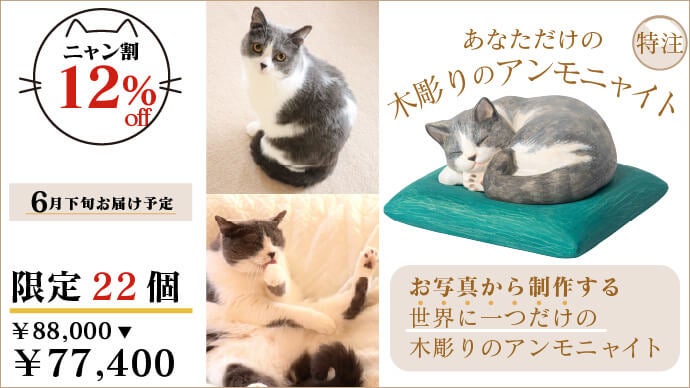 2月22日（猫の日）記念！ 笑顔と幸運を授ける『木彫りのアンモニャイト