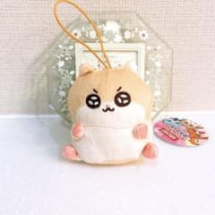 m45477981201_1.jpg?1761057121