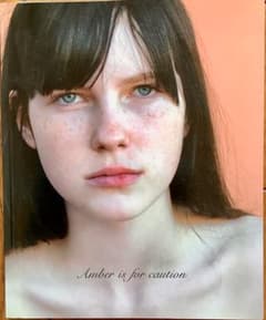 Valerie Phillips 「Amber is for caution」 - メルカリ