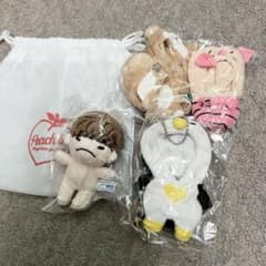 2PM JUNHO ジュノ イップニ ドール 10cm セット - メルカリ