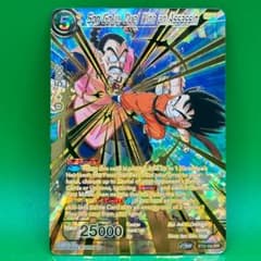 m57036138619_1.jpg?1737308737