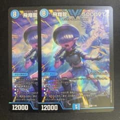 飛翔龍5000VT 2枚 - メルカリ