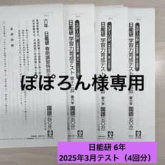 日能研 学習力育成テスト 6年 2025年 3月分 - メルカリ