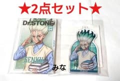 Dr.STONE くじ引き堂 読書の秋編 缶バッジ アクキー 千空 2点セット