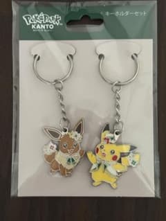 新品未開封】ポケパークカントー 限定 ピカチュウ イーブイ