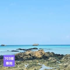 新品未使用】アマトラメゾフォルテヘアバスS335mlヘア&スパマスクS225g