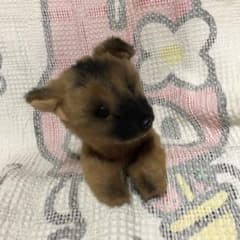 m68814596703_1.jpg?1686445690