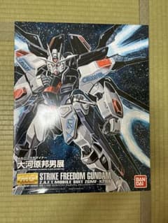 MG 1/100 ZGMF-X20A ストライクフリーダムガンダム 大河原邦男展