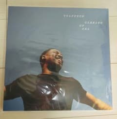 Vulfpeck Clarity of Cal LP レコード ヴォルフペック - メルカリ
