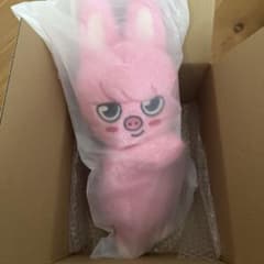 stray kids skzoo PLUSH BAG チャンビン DWAEKKI - メルカリ