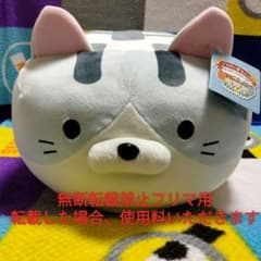 新品 ごろねこサミット 第14回おうち代表ねこ会議 ハシモト - メルカリ