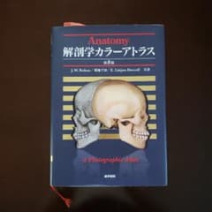 解剖学カラーアトラス - メルカリ