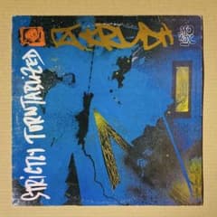 Strictly Turntablized DJ KRUSH レコード 2LP - メルカリ