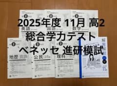 2025年度 11月 高2 総合学力テスト ベネッセ 進研模試 - メルカリ