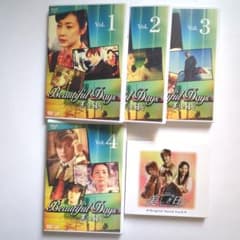 韓国ドラマ 美しき日々 4巻（1回～12回まで） チェ・ジウ、リュ